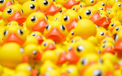 Get Your M365 Ducks In A Row With ShareGate For Everyday Ops And Complex Migrations